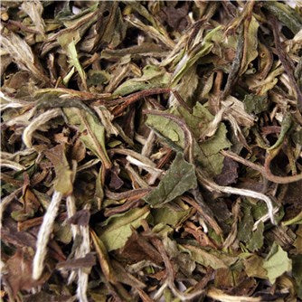 SQUARE TE - CHINA PAI MU TAN-Te-Butik Square-Butik Square