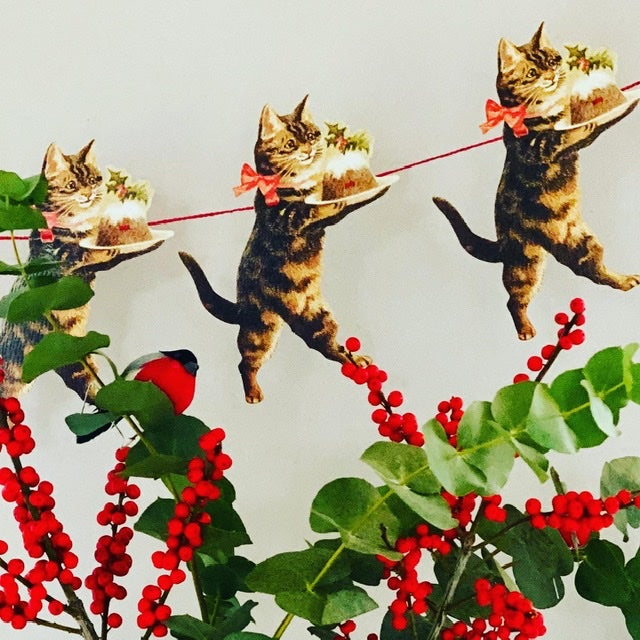 Butik Square - Guirlande - Katten