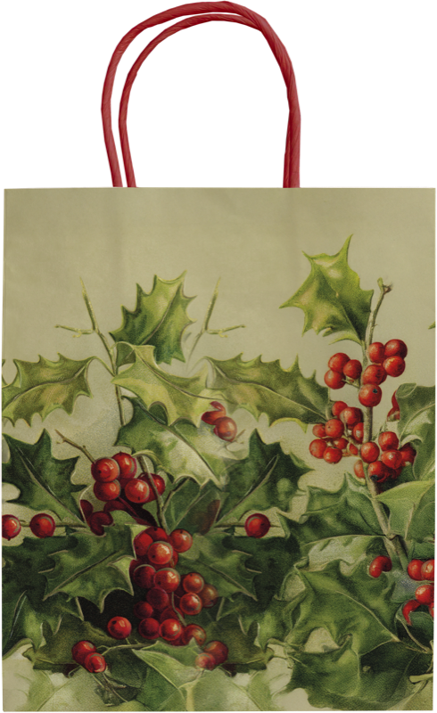 Sköna Ting - Gavepose - Røde Juleblomster & Kristtorn