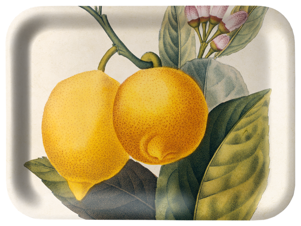 Sköna Ting - Bakke - Lemon