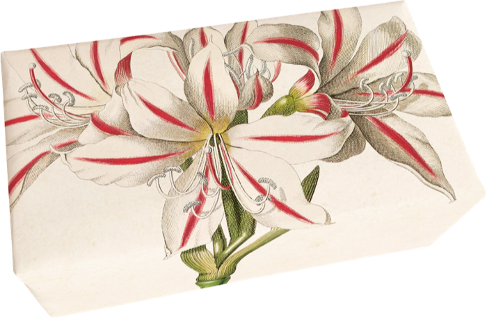 Sköna Ting - Sæbe - Amaryllis
