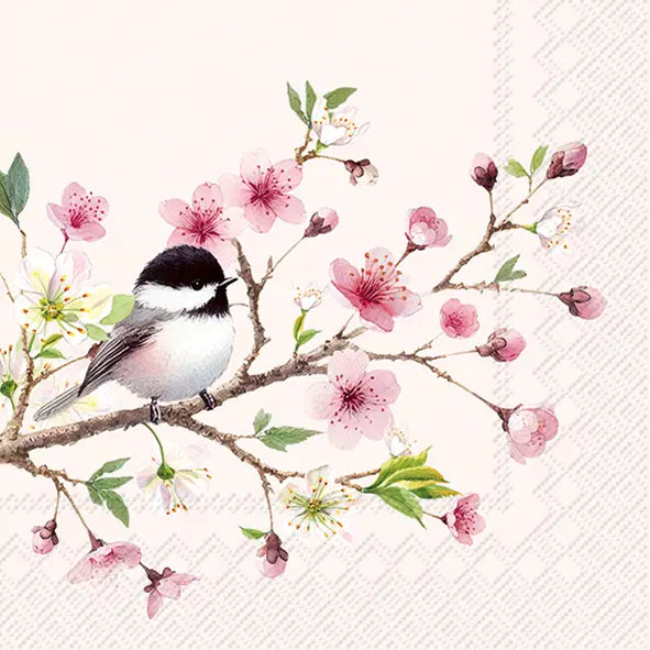 Butik Square - Servietter - Birdie