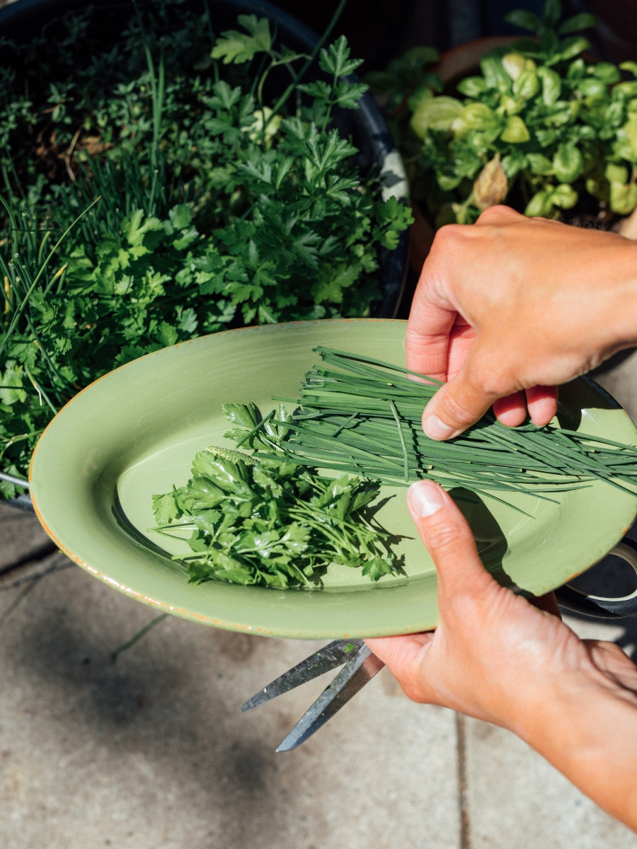 Casagent - Ovalt fad - Lille