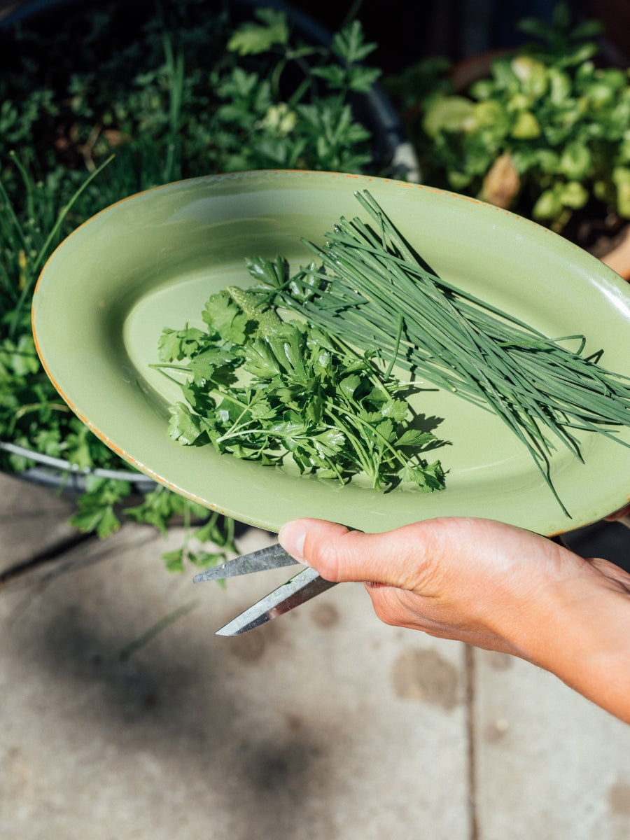 Casagent - Ovalt fad - Lille