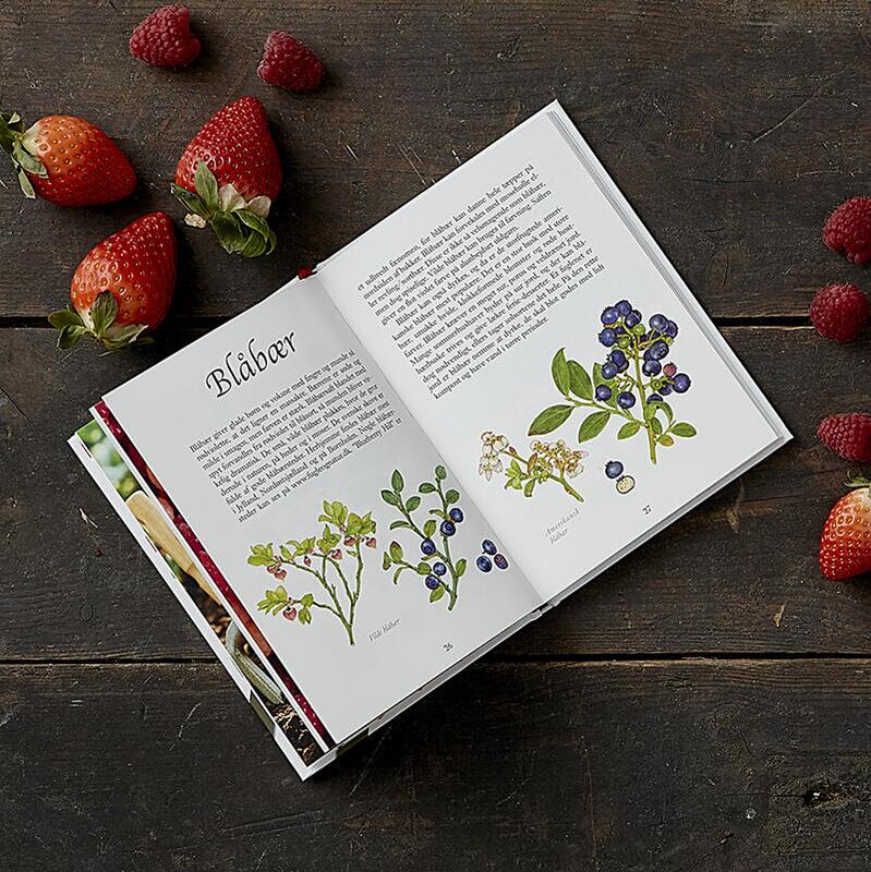 Koustrup & Co - Bøger - Bær Superfood