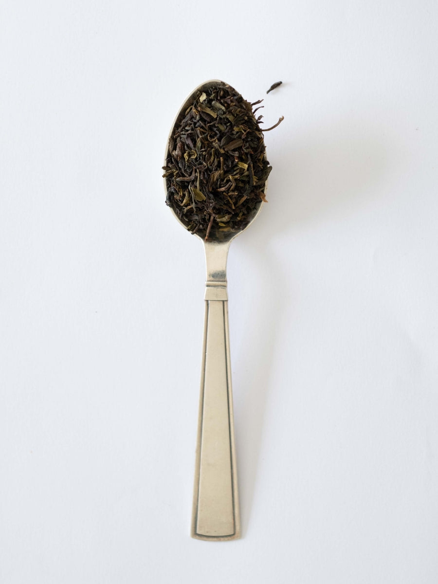 SQUARE TE - DARJEELING GING