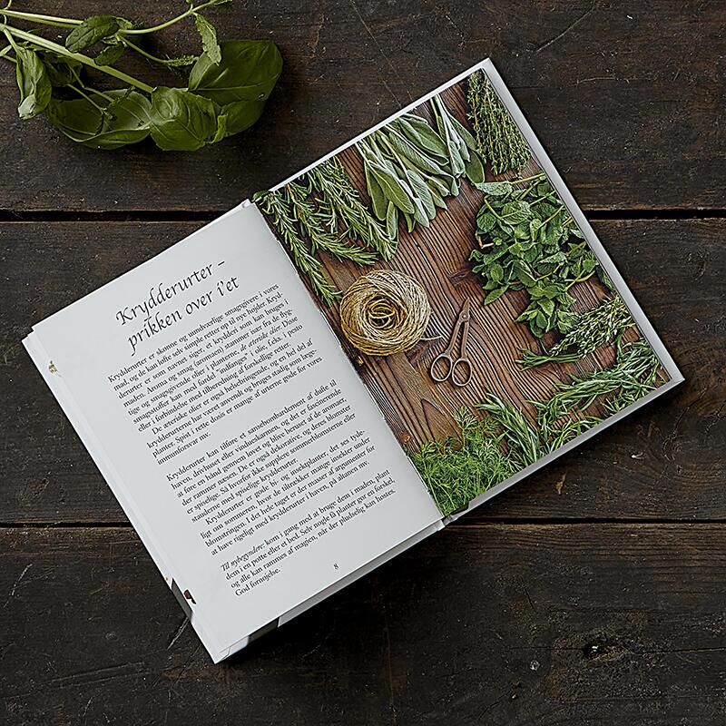 Koustrup & Co - Bøger - Havens Krydderurter