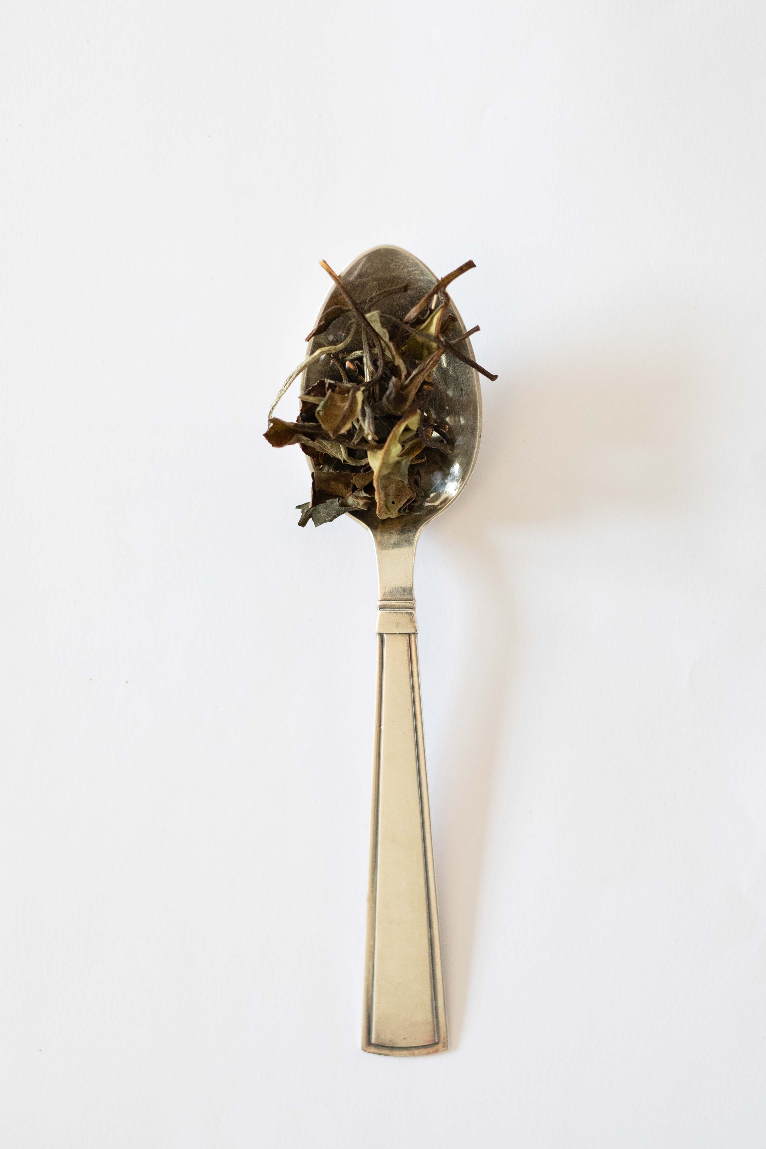 SQUARE TE - HVID TE MED HAVTORN-Te-Butik Square-Butik Square