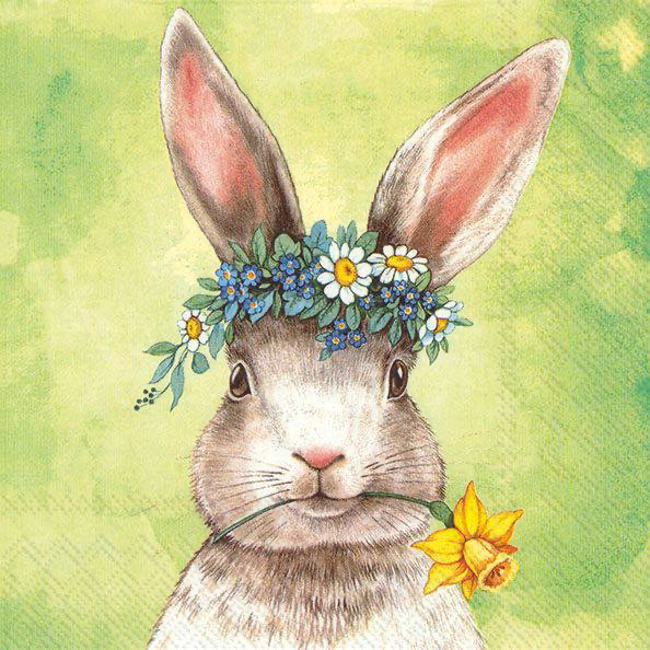 Butik Square - Servietter - Påske Hare