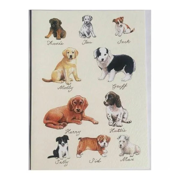 CLANNA CARDS - Hunde Hvalpe-Kort A7-Butik Square-Butik Square