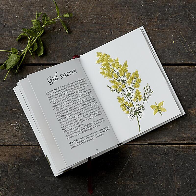 Koustrup & Co - Bøger - Kryddersnaps