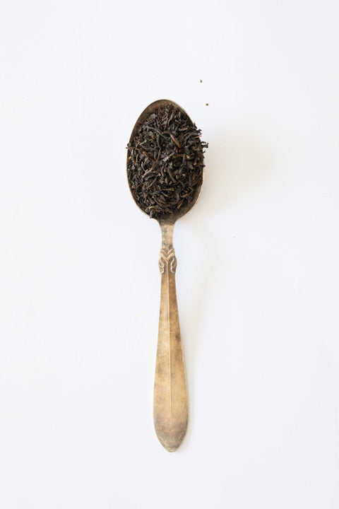 SQUARE TE - LAPSANG SOUCHONG