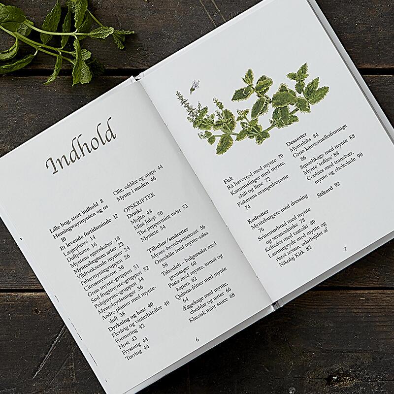 Koustrup & Co - Bøger - Mynte