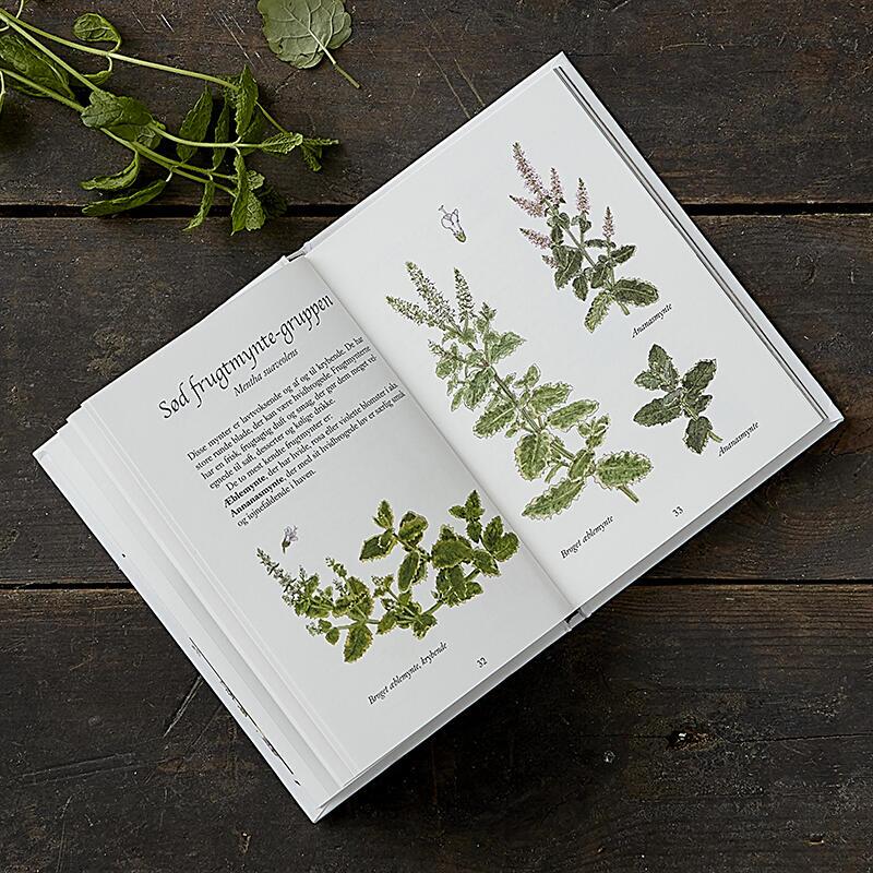 Koustrup & Co - Bøger - Mynte