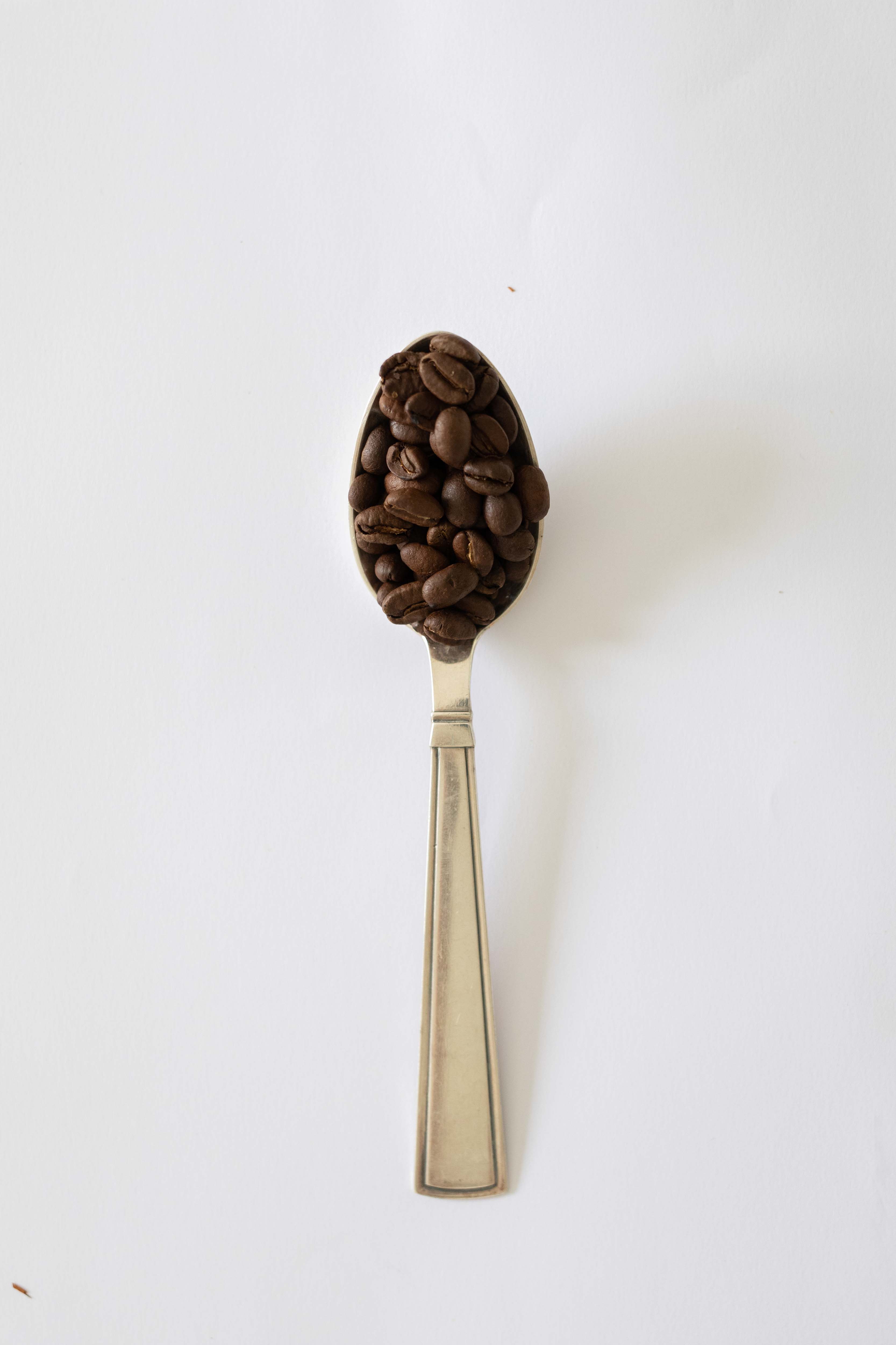 SQUARE KAFFE - GOURMET KAFFE-Kaffe-Butik Square-Butik Square