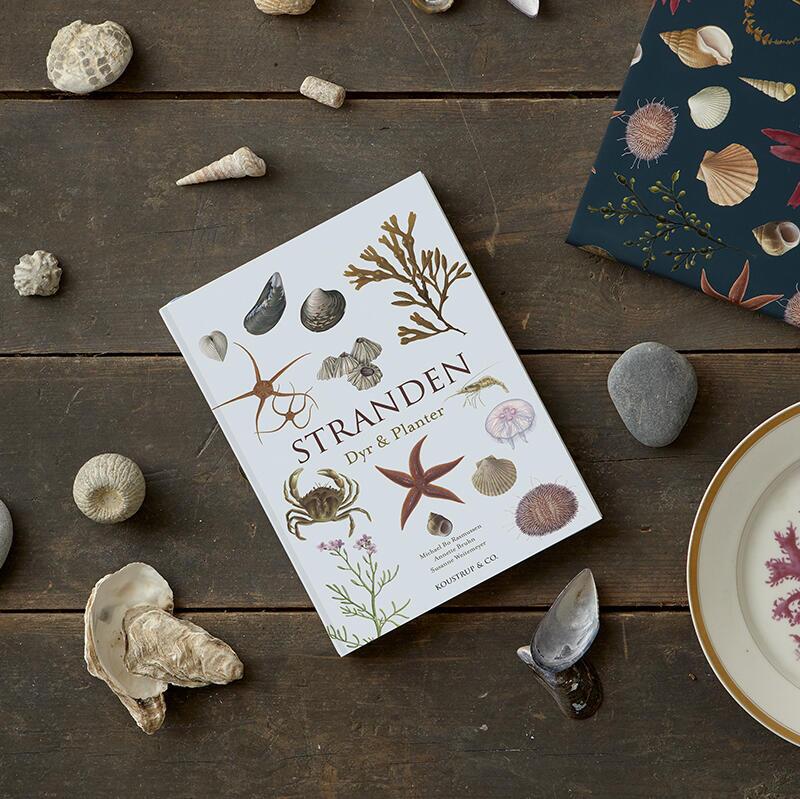 Koustrup & Co - Bøger - Stranden