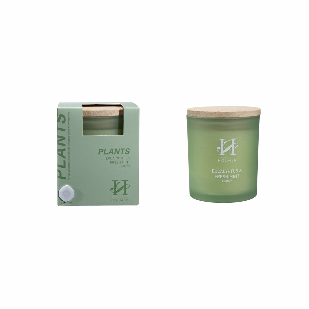 Holmen - Duftlys - Eucalyptus & Fresh Mint