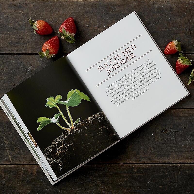 Koustrup & Co - Bøger - Smagen af Jordbær