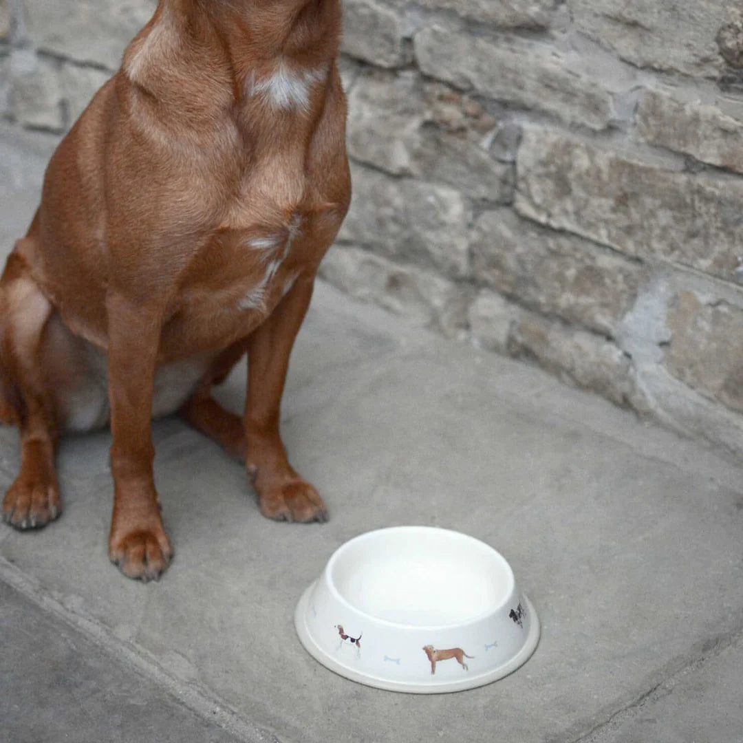 Hunde Skål Stor metal-Skål til dyr-Sophie Allport-Butik Square