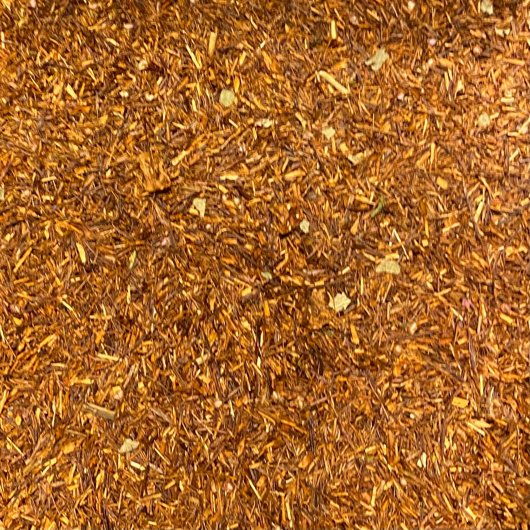 SQUARE TE - ROOIBOS SKOVBÆR-Te-Butik Square-Butik Square