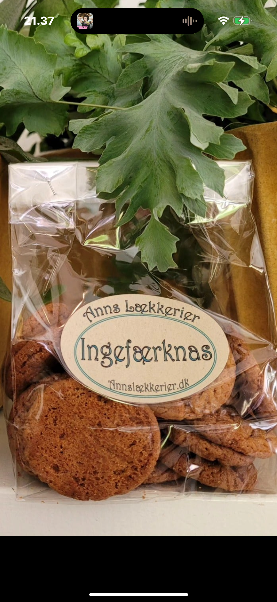 Anns Lækkerier - Småkager - Ingefærknas