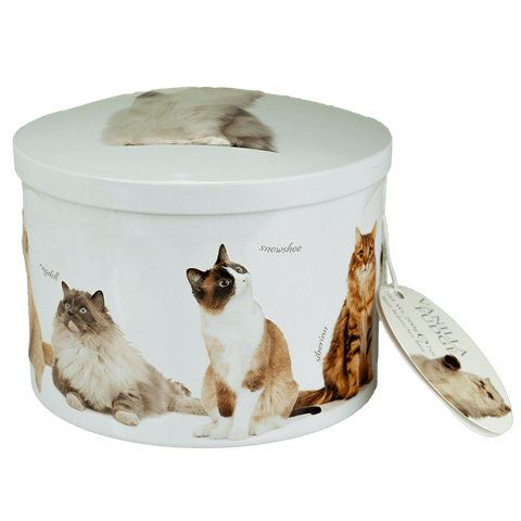 Vanilje fudge gavedåse med katte 200g
