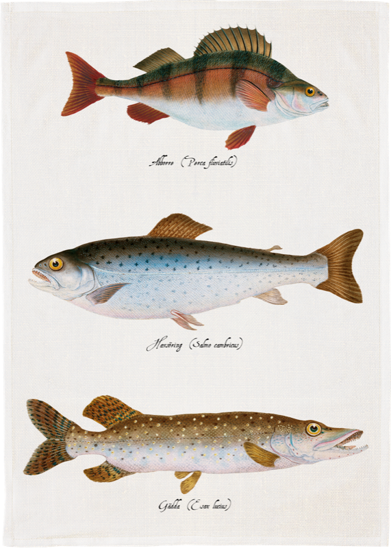 Sköna Ting - Viskestykke - Fisk