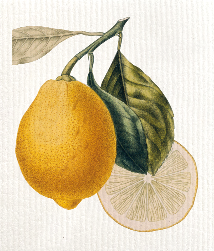 Sköna Ting - Opvaskeklud - Lemon blomst