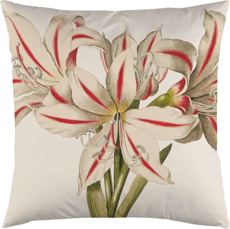 Sköna Ting - Pudebetræk - Amaryllis