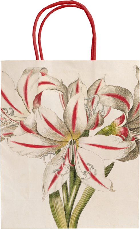 Sköna Ting - Gavepose - Amaryllis