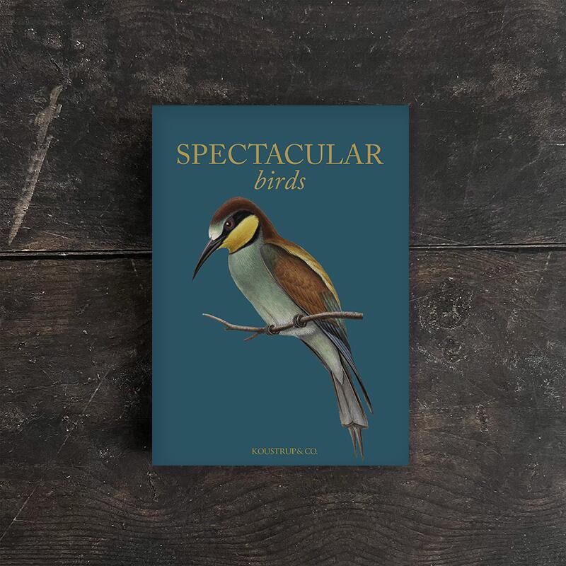 Koustrup & Co - Lykønskningskort - SPECTACULAR BIRDS