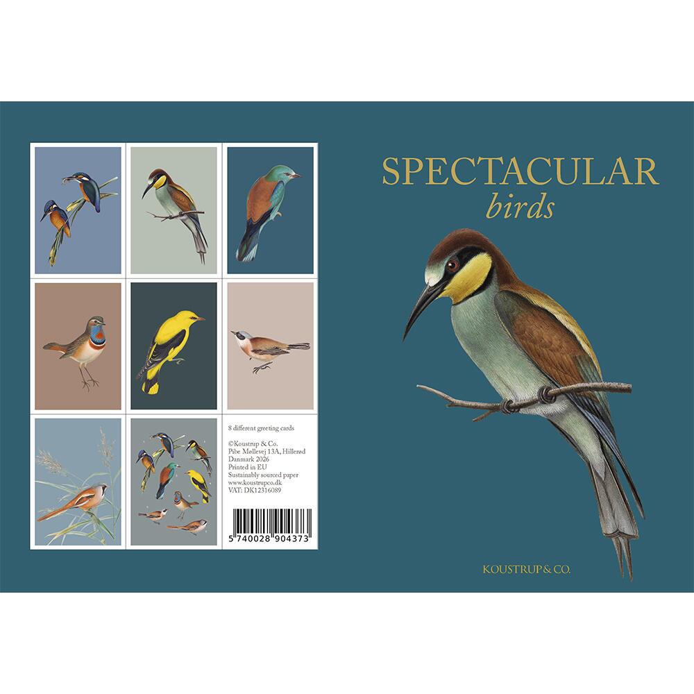Koustrup & Co - Lykønskningskort - SPECTACULAR BIRDS