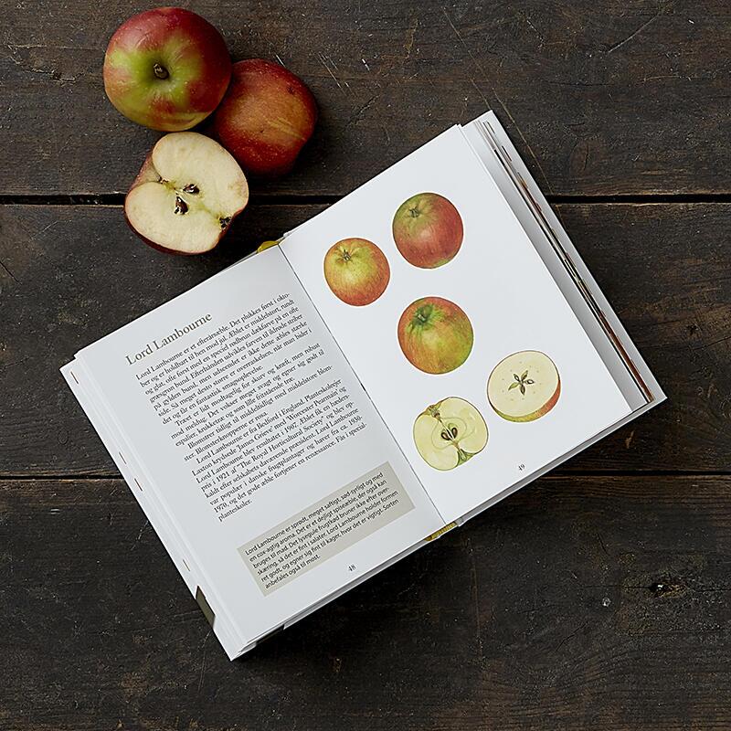 Koustrup & Co - Bøger - Æbler