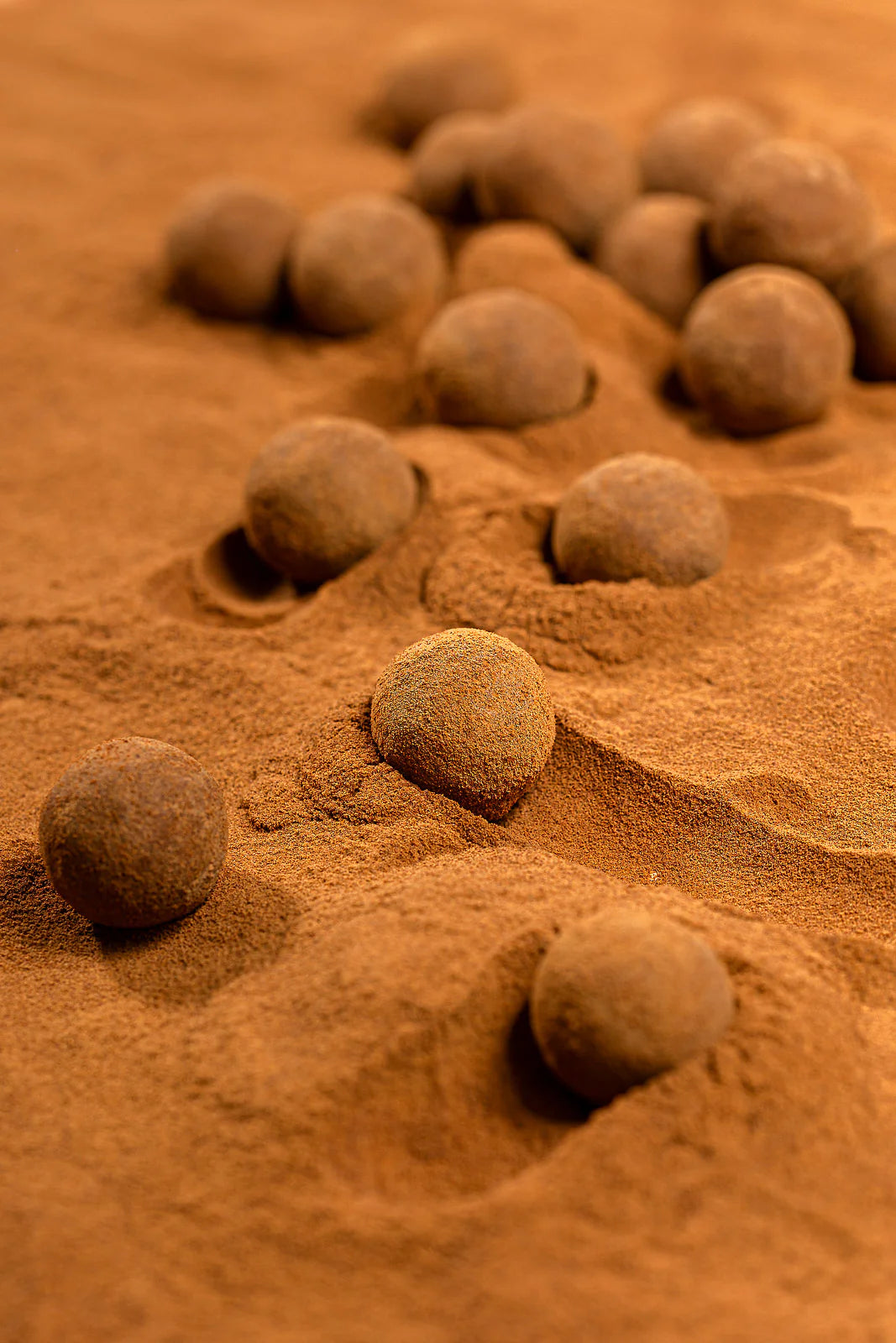 Box The Original - Tube Stor - Påske Original