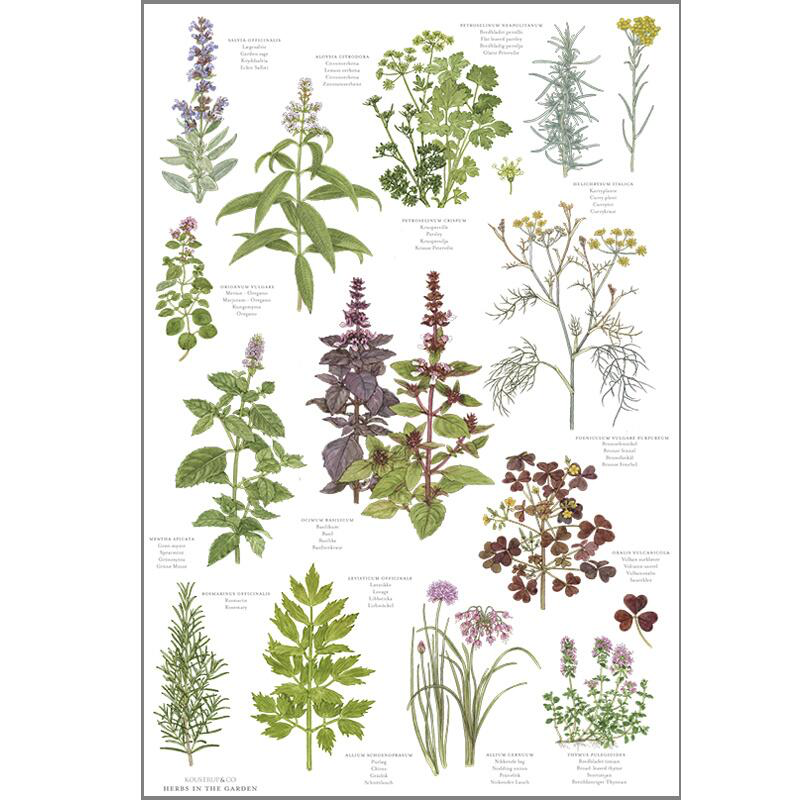 Koustrup & Co - Viskestykke - Herbs