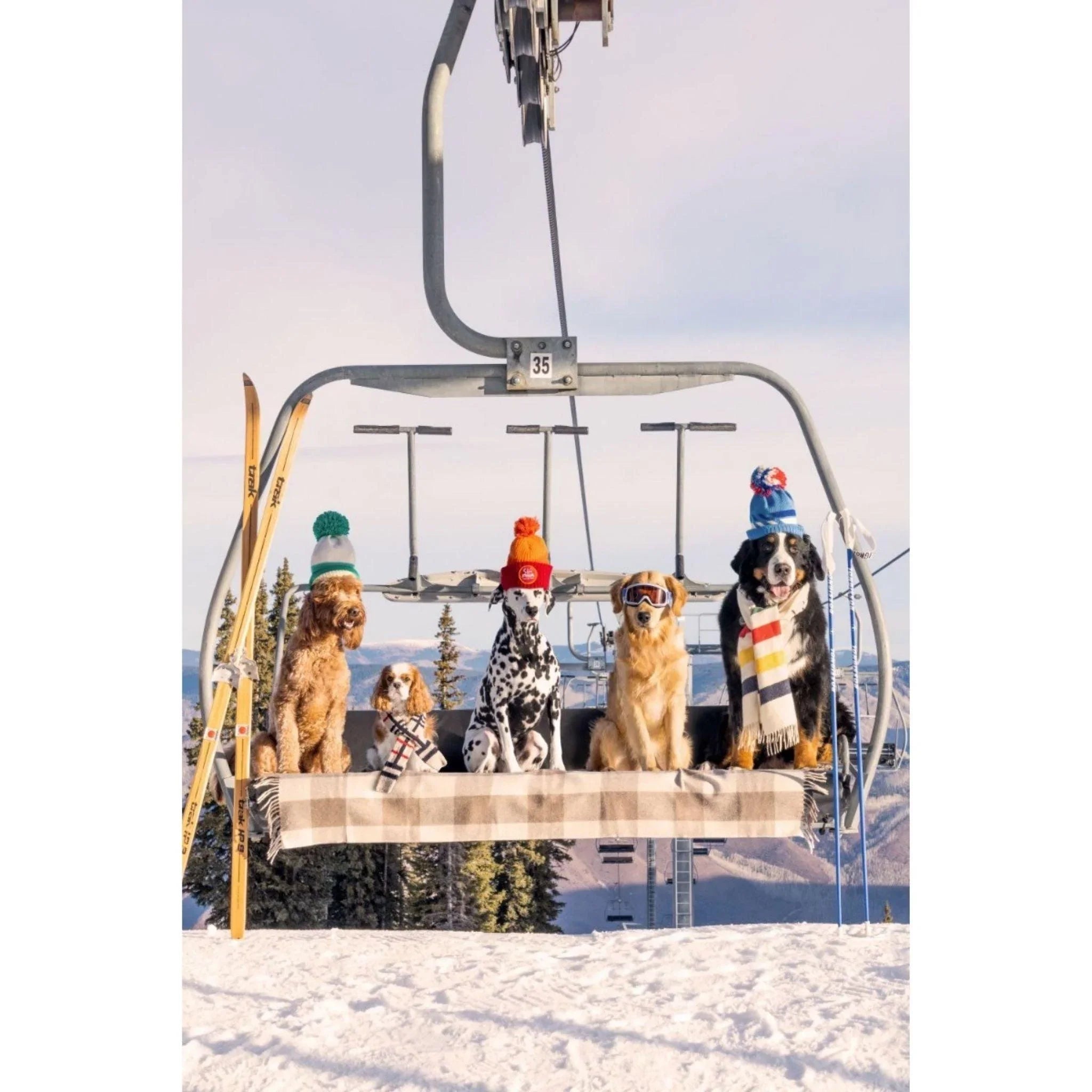 Graymalin - Puslespil - Chairlift Pups Aspen