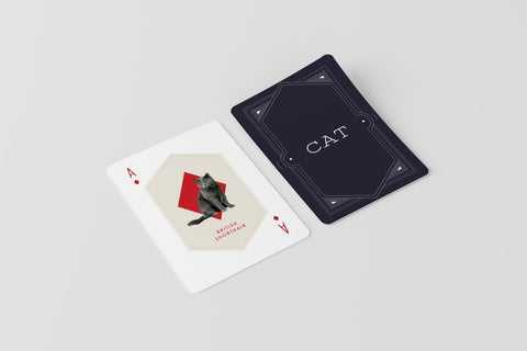 Cat & Dog Spillekort 2 pak.