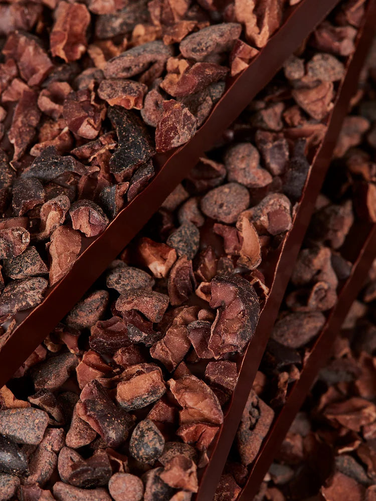 Summerbird - Bar - Arriba-Raw