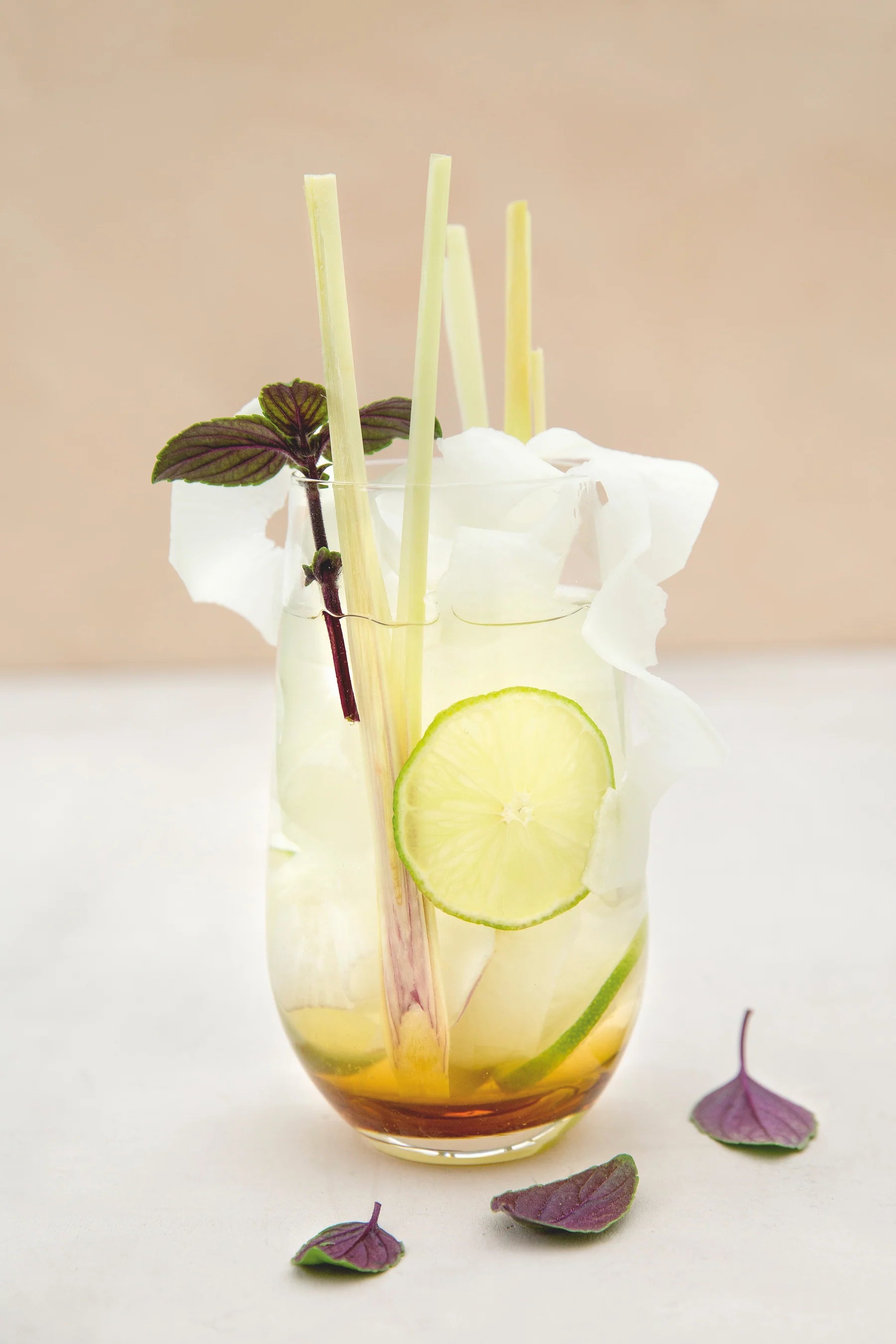 Butik Square - Bøger - Infused water