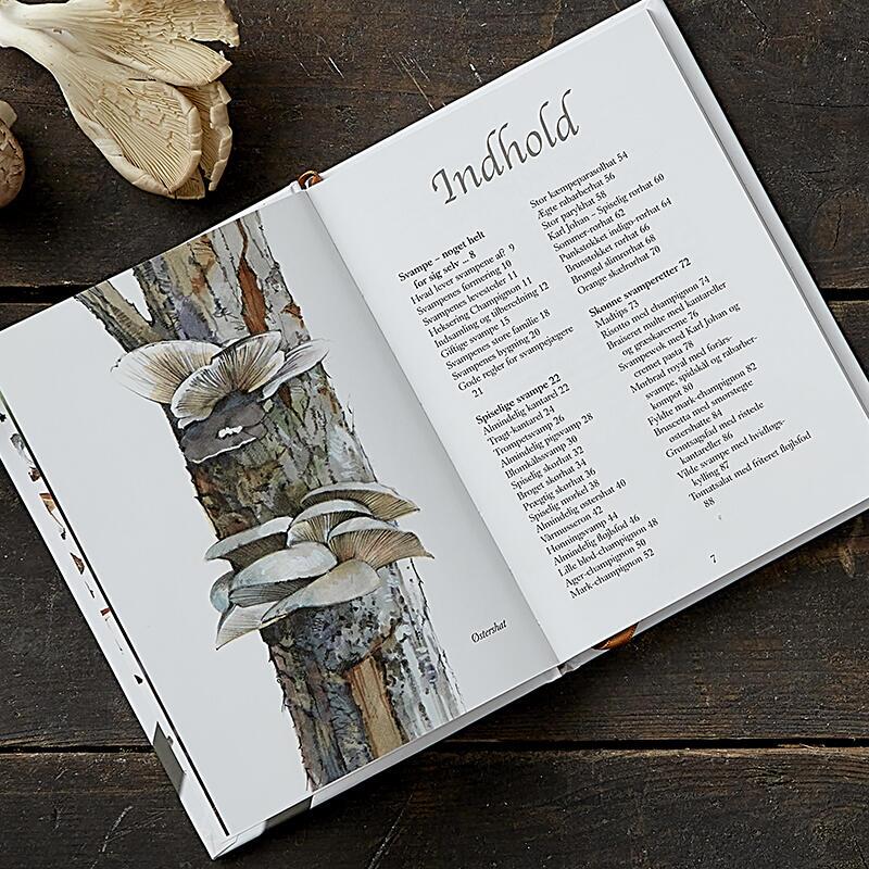 Koustrup & Co - Bøger - Spiselige Svampe 2. udgave